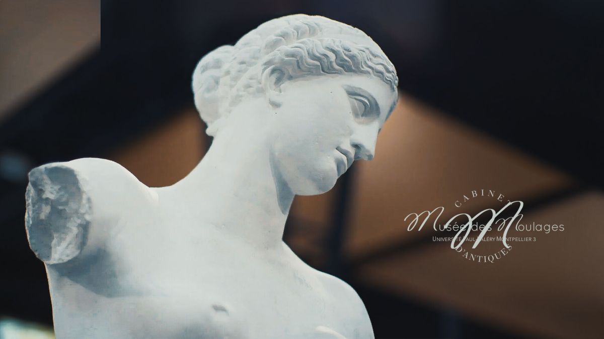 Musée des Moulages Musée des Moulages