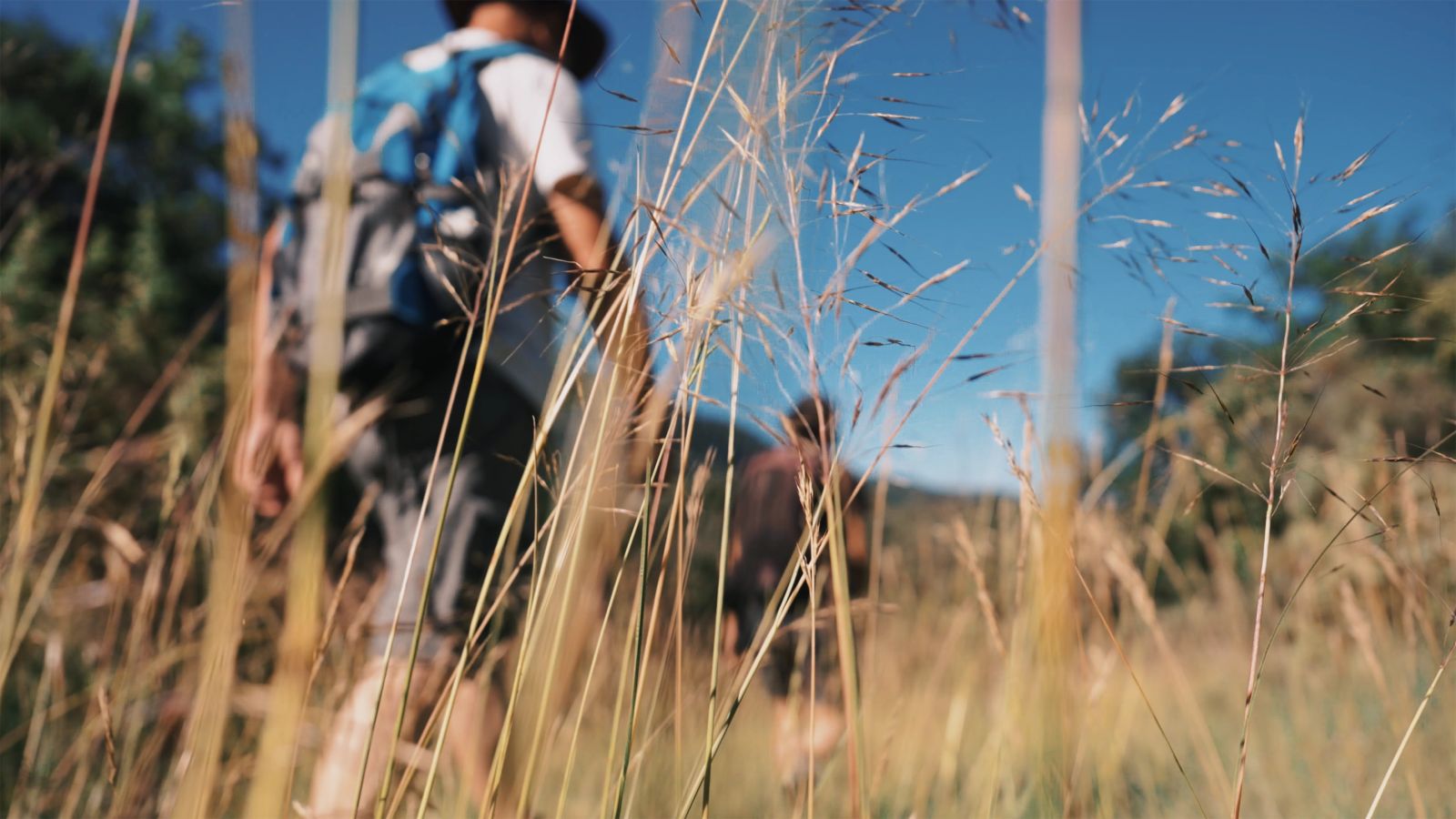 Oreme - Observer Aujourdhui, Préparer Demain